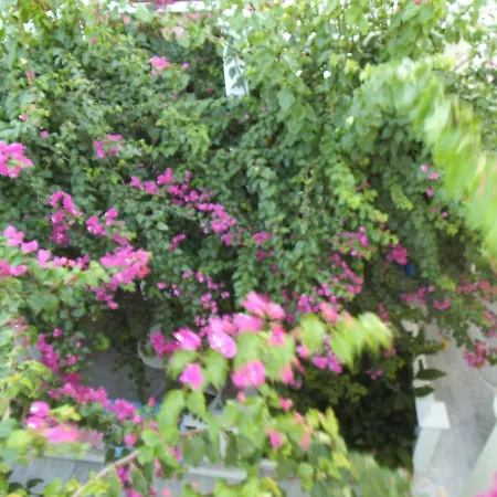Alkyon Aparthotel 3*